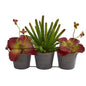 14" Mix Succulent Artificial Plant in Trio Metal Planter
