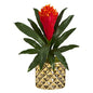 15" Bromeliad Artificial Plant in Gold Planter