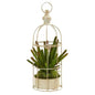 15" Cactus Succulent Artificial Plant in Decorative Cage