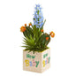 15" Hyacinth and Succulent Artificial Plant in “New Baby" Planter