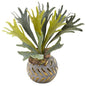 15" Staghorn Artificial Plant in Planter with Gold Trimming
