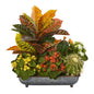 16" Croton, Kalanchoe and Cactus Artificial Plant in in Metal Tray
