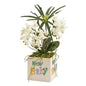 16" Orchid Phalaenopsis and Cyperus Artificial Arrangement in “New Baby" Vase