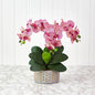 17" Phalaenopsis Orchid Artificial Arrangement in Bowl with Gold Trimming