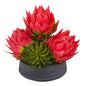 17" Triple Musella and Succulent Artificial Arrangement in Decorative Bowl