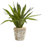 19" Sansevieria Artificial Plant in Weathered Oak Planter