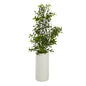 20" Boxwood Artificial Plant in White Planter