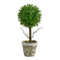 20" Eucalyptus Single Ball Topiary Artificial Tree