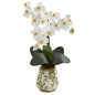 20" Phalaenopsis Orchid Artificial Arrangement in Floral Vase