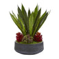 20" Succulent and Sansevieria Artificial Plant in Decorative Bowl