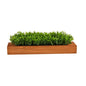 20" Sweet Grass Artificial Plant in Decorative Planter