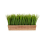 20" Vanilla Grass Artificial Plant in Decorative Planter