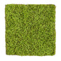 20" X 20" Duckweed Artificial Wall Mat