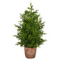 21" Cedar Pine “Natural Look" Artificial Tree in Decorative Planter