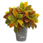 21" Garden Croton Artificial Plant in Planter with Black Pattern (Real Touch)