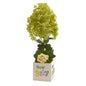 21" Peegee Hydrangea and Rose Artificial Arrangement in Vase