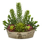 22" Echeveria and Cactus Succulent Artificial Plant in Decorative Planter