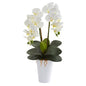 23" Double Phalaenopsis Orchid Artificial Arrangement in Vase