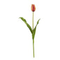 23" Dutch Tulip Artificial Flower (Set of 12)