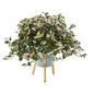 23" Hoya Artificial Plant in Green Planter with Stand