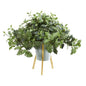 24" Dusty Miller Artificial Plant in Green Planter with Legs