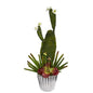 24" Mixed Cactus and Succulent Artificial Plant in White Planter with Silver Trimming