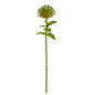 24" Pincushion Artificial Flower (Set of 6)