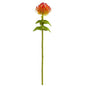 24" Pincushion Artificial Flower (Set of 6)
