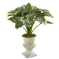 24" Variegated Hosta Artificial Plant in White Urn