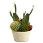26" Cactus Garden Artificial Plant in White Planter
