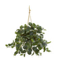 28" Fittonia Artificial Plant in Hanging Metal Bucket
