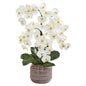 28" Phalaenopsis Orchid Artificial Arrangement in Stoneware Vase