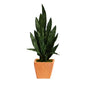 28" Sansevieria Artificial Plant in Terra-Cotta Planter