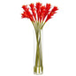 28" Star Bromeliad Artificial Arrangement in Cylinder Vase
