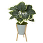 28" Variegated Hosta Artificial Plant in Green Planter with Stand