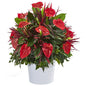 29" Mixed Anthurium Artificial Plant in White Tin Planter