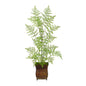 3'Ruffle Fern Artificial Tree in Metal Planter