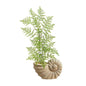 3'Ruffle Fern Artificial Tree in Shell Shaped Planter
