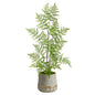 3'Ruffle Fern Artificial Tree in Stoneware Planter with Gold Trimming
