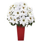 32" Poinsettia Artificial Arrangement in Red Vase
