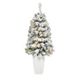 3.5' Flocked Rock Springs Spruce Artificial Christmas Tree with 50 Clear LED Lights in White Metal Planter