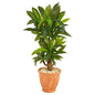 38" Corn Stalk Dracaena Artificial Plant in Terra-Cotta Planter (Real Touch)