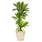 39" Dracaena Artificial Plant in Country White Planter (Real Touch)
