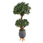4'Sweet Bay Double Ball Topiary Artificial Tree in Gray Planter with Stand