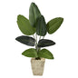 4'Travelers Palm Artificial Tree in Country White Planter