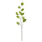 4'Wisteria Foliage Artificial Flower (Set of 6)