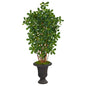 4.5'Black Olive Artificial Tree in Charcoal Urn
