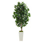 4.5'Ficus Artificial Tree in White Planter