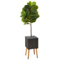 5'Fiddle Leaf Artificial Tree in Black Planter with Stand (Real Touch)