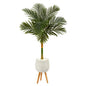 5'Golden Cane Artificial Palm Tree in White Planter with Stand